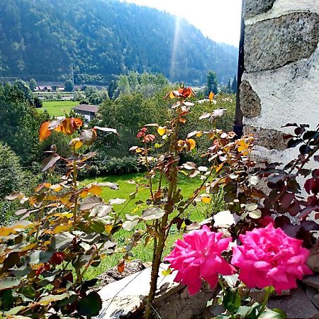 Cjasa Da Puci Ovaro Exterior foto
