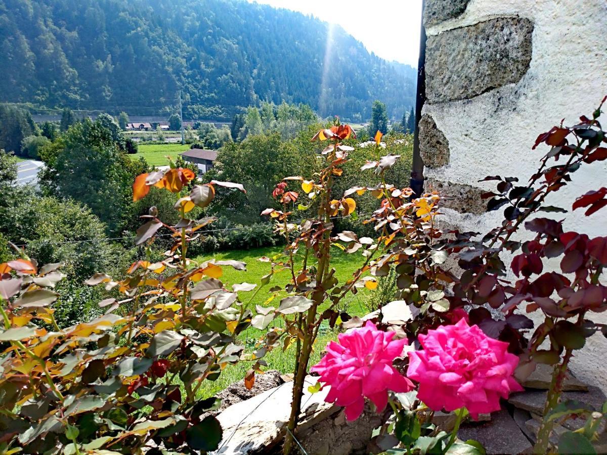 Cjasa Da Puci Ovaro Exterior foto