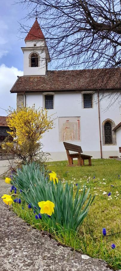 Cjasa Da Puci Ovaro Exterior foto